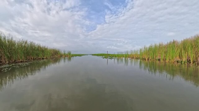 Swamp Navigation: 4K POV Glide Moving Through Dense Reeds and Marsh Grasses on a Central Florida Lake