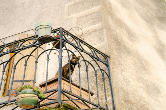 balcony with cat 