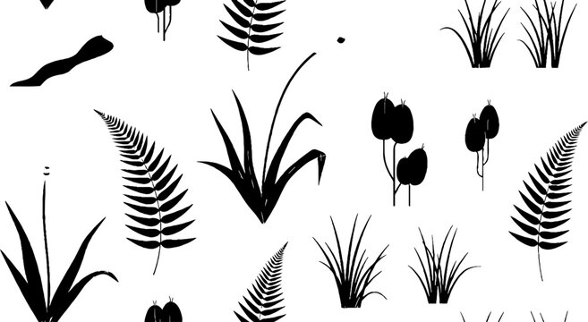 Black and white fern and grass illustrations.