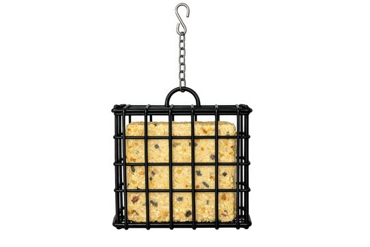 A bird feeder suspended from a chain, filled with seeds and ready for birds to feed