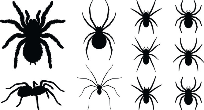Spooky Black Spider Silhouette Icon Set Featuring Tarantulas Black Widows and Creepy Crawly Insects for Halloween Party Graphic Vector Design Elements