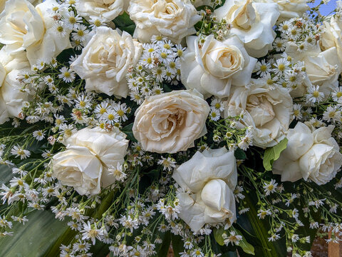 bouquet of white roses
