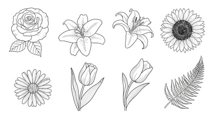 Floral collection featuring rose lily sunflower and fern silhouettes © sefali