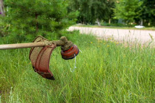 Petrol string trimmer trimmer head over a green field. A close-up view of a brushcutter head with a protective guard and trimmer line, held over tall green grass with trees.