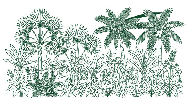 Jungle panorama line art illustration featuring palm trees and tropical plants in landscape.