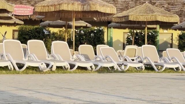 Empty sun loungers under thatched umbrellas at a resort