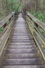 Obraz premium wooden bridge in the forest
