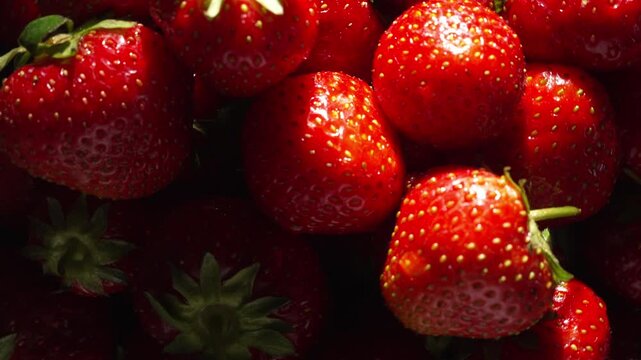 Rotating ripe strawberries creating vibrant fresh berry background