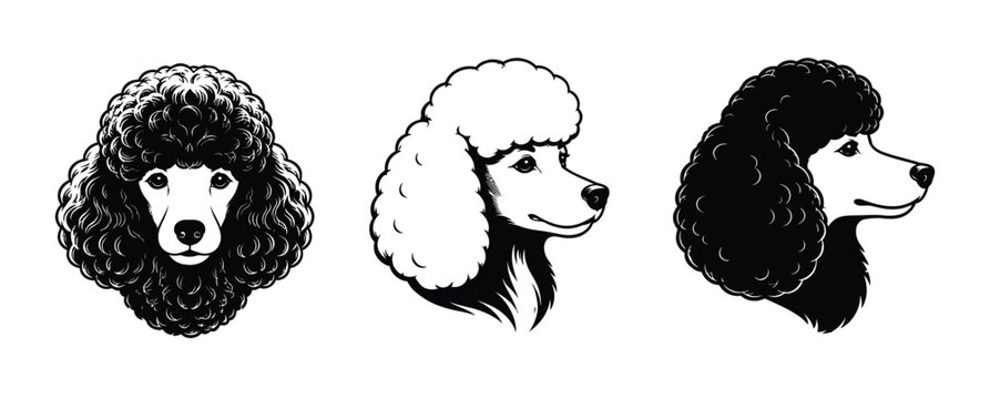 Set of three different dog head silhouette vector design