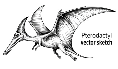 Fantasy pterosaur flying over a mountainous landscape with clouds Vector © MST SUETI