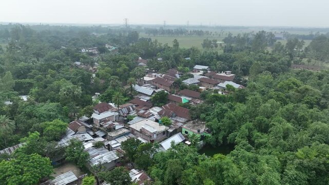 Aerial view of rural village surrounded by lush green forest