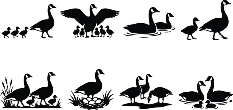 Canada Goose Family Silhouette Collection with Adult Geese Goslings Nest Swimming and Parenting Scenes