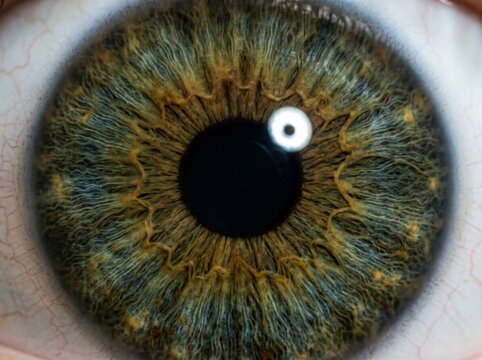 Close-up of a human eye with detailed iris pattern