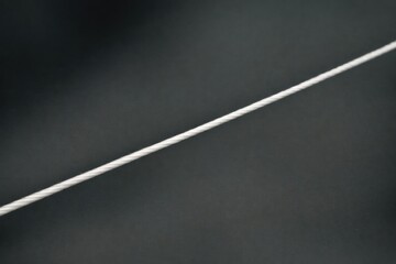 Fototapeta premium A small is sitting on top of a wire, looking around
