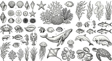 Vector set of sea life and marine animals in vintage engraving style hand drawn sketch illustrations of underwater creatures and ocean elements isolated on white background © Marfot