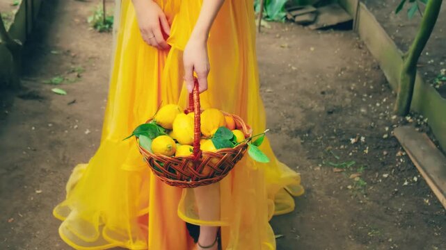 sexy fantasy woman goddess fashion model posing, Summer trees green garden. Long flowing hair. Evening long ball gown elegant festive dress. Girl holding wicker basket in hands, yellow lemon fruit
