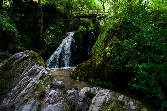 Small waterfall in a lush green forest with a wooden bridge