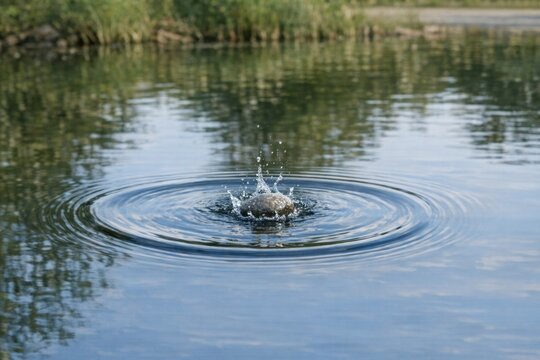 A  breaking the surface tension of a calm pond with a splash