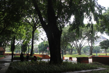 Obraz premium Large dark tree trunk stands in middle of paved city park during sunny daytime.