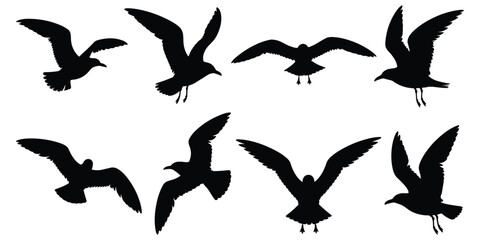 Collection of eight black seagull silhouettes in various flying poses on white background Keywords: seagull, bird, silhouette © MST Hasina