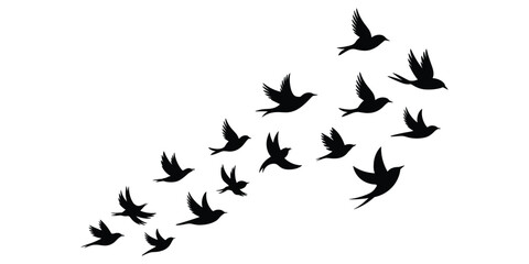 Fototapeta premium Flock of black bird silhouettes flying upwards and to the right against a white background flight