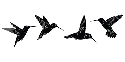 Four black silhouettes of hummingbirds in flight with detailed wings and beaks on white flying © MST Hasina