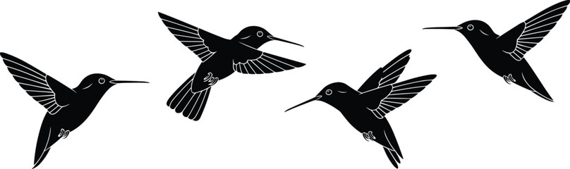 Four black silhouettes of hummingbirds in flight with detailed wings and beaks on white flying © MST Hasina