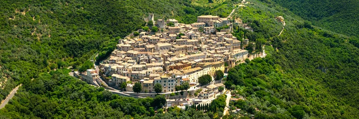 Roccantica Rieti Italy Drone panorama. Cascade houses of medieval borgo townscape isolated among dense green hills no sky scenery. Authentic italian village Old World charm architecture © Freesurf