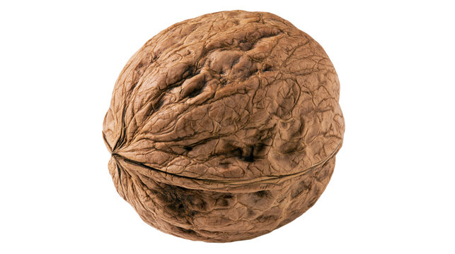 Whole brown walnut with textured shell, isolated on transparent background
