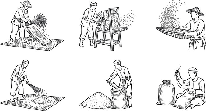 Traditional Rice Threshing and Processing Methods Line Icon Set Featuring Grain Winnowing, Manual Sorting, Straw Separation, and Packaging Vector Illustrations