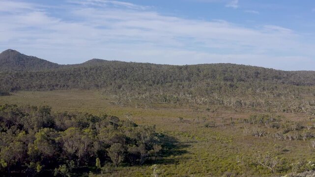Camera panning over the bushland in southwestern of Western Australia, Video, Walpole Wilderness Area