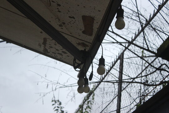 Low hanging light bulbs on canopy roof with mesh fence background in outdoor area.