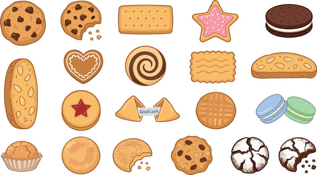 Sweet cookie and biscuit collection with chocolate chip macaron sandwich cookies fortune cookies crinkle biscuits and gingerbread cartoon vector illustration