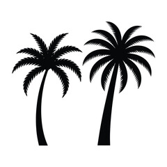 Fototapeta premium Palm tree silhouettes against a white background black and white graphic