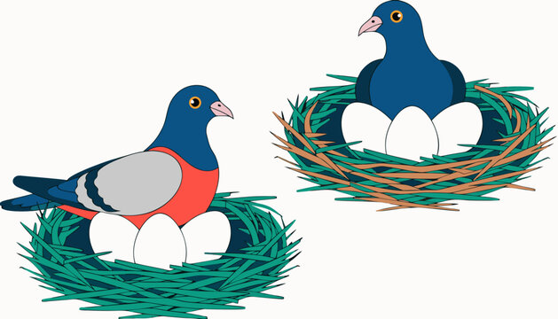 two pigeons in a nest 