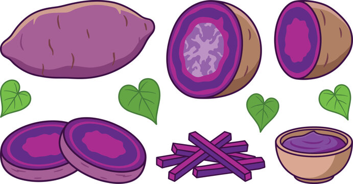 Healthy purple yam vector element collection featuring organic ube potato slices raw sticks delicious mashed paste bowl icons for creative graphic design