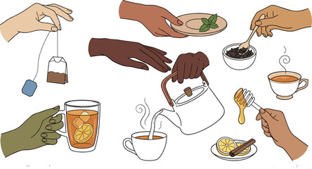 Human hands preparing tea vector set with teapot cup teabag honey dipper lemon slice cinnamon stick and mint leaf isolated on white background © MstRowshanAra