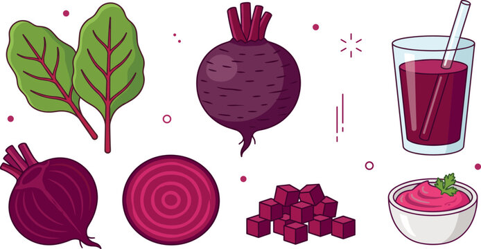 Organic red beet flat illustration collection with raw root vegetables cut slices fresh smoothie drink bowl of hummus paste and green chard salad leaves