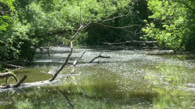 Nature scenics landscape in Ontario public park, Canada
