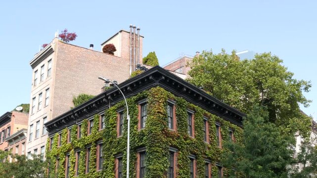 New York City urban residential buildings architecture, Lower Manhattan West village Greenwich street corner, United States of America. Greenwich village, USA. Red brick house. Vine greenery on wall.