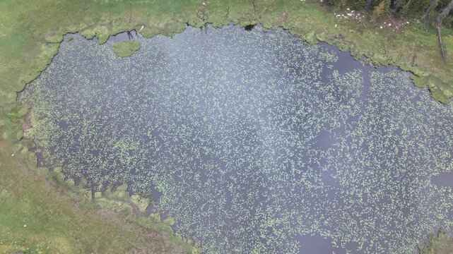Top Down View of Lily Lake Uinta Mountains 4K