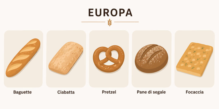 Vsai european bread varieties featuring baguette, focaccia, and pretzel