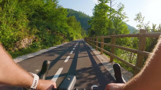 POV of cyclist riding on asphalt bike path at sunset in summer. Slovenia. First person view of male hands on bicycle handlebar cycling on road near wooden fence in green forest. Active sport outdoor