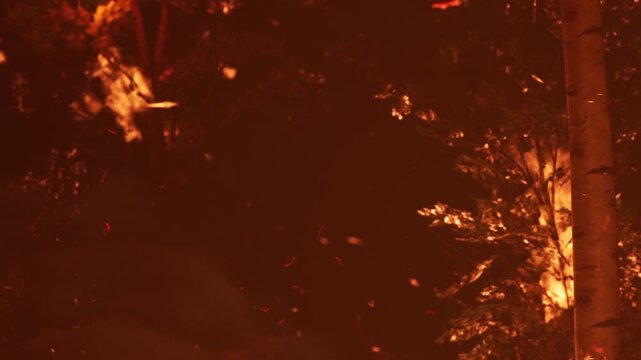 A forest is on fire at night. Flames rise from the ground and the trees are illuminated by an orange light. Sparks and embers float through the air. Smoke fills the surroundings.