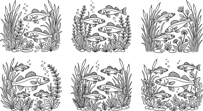 Walleye Fish Swimming and Underwater River Habitat Icon Set with Seaweed, Catails, and Air Bubbles for Freshwater Angling Tournaments, Fishing Logos, and Outdoors Tackle Shop Vector Designs