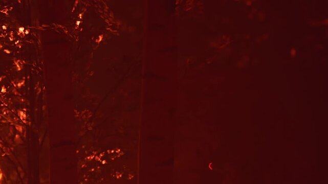 Flames rise among trees in a forest at night. Smoke fills the air as the fire spreads rapidly. The light from the fire creates a glowing effect on the surroundings.