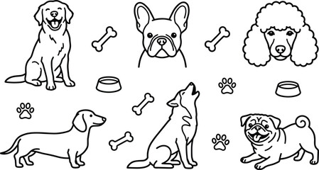 Dog Breeds and Pet Care Line Art Collection with Golden Retriever French Bulldog Poodle Dachshund Husky Pug and Pet Accessories © Tanjuma
