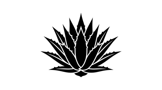 A minimalist black silhouette of an agave plant on a white background.