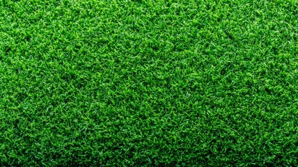 Obraz premium Green grass texture creating a background, surface symbolizing nature, growth, and environmental concepts