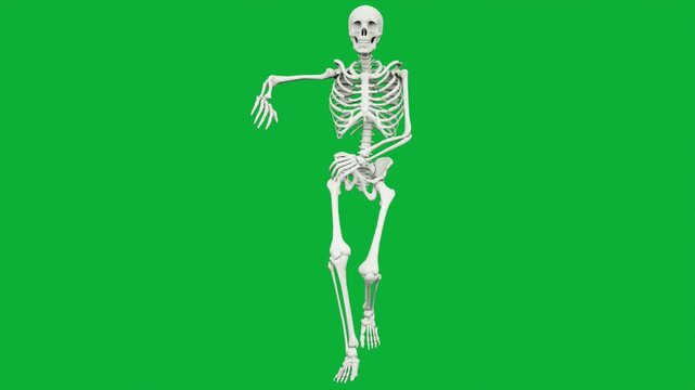 Human skeleton dancing hip hop and breakdance moves on a green screen key background loop